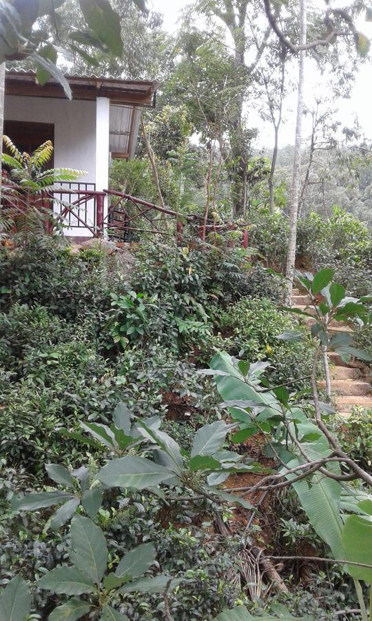 Mountain Nest Hotel Ella Luaran gambar