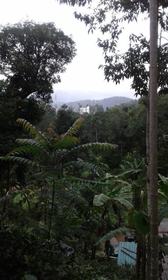 Mountain Nest Hotel Ella Luaran gambar