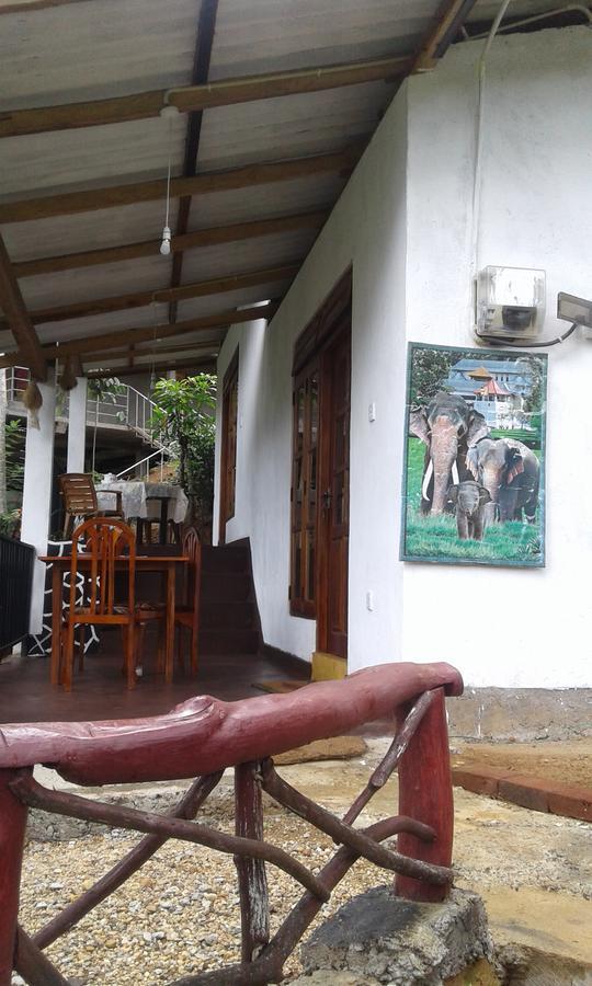 Mountain Nest Hotel Ella Luaran gambar