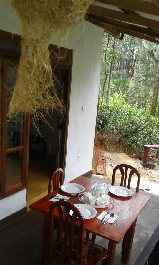 Mountain Nest Hotel Ella Luaran gambar